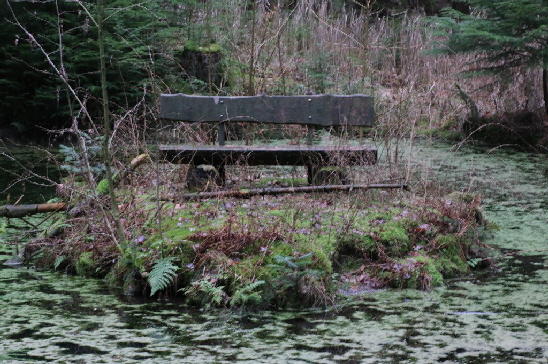 Eine Ruhebank inmitten des kleinen Sees