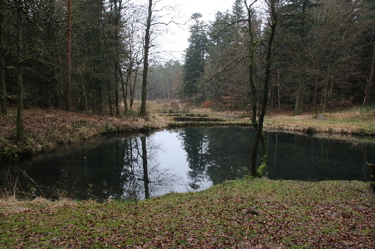 Die getreppt angelegten Fischteiche