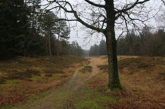 In die entgegengesetzte Richtung geschaut