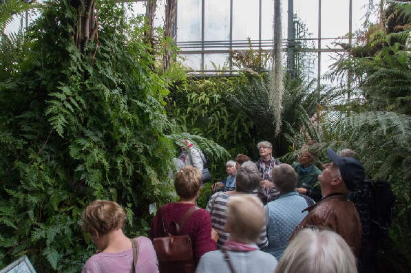 Luftfeuchtigkeit ~92%