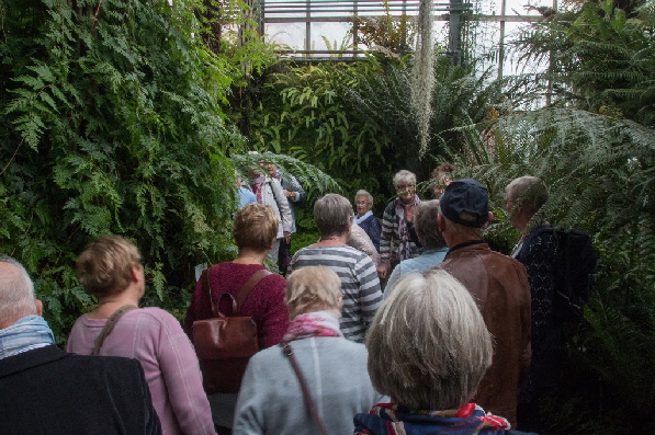 Alle h�ren gespannt zu