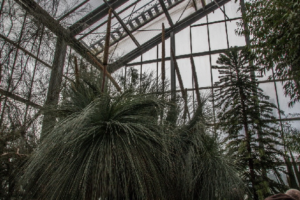 ... denn drau�en regnet es in Str�men