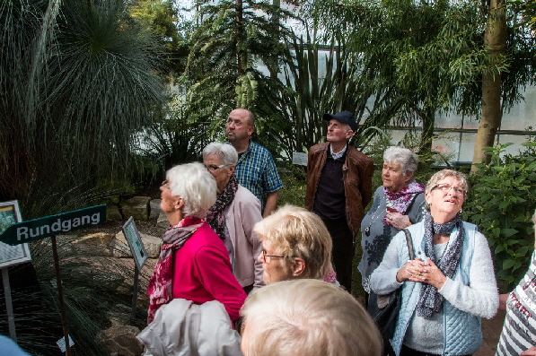 Staunend werden die Pflanzen betrachtet