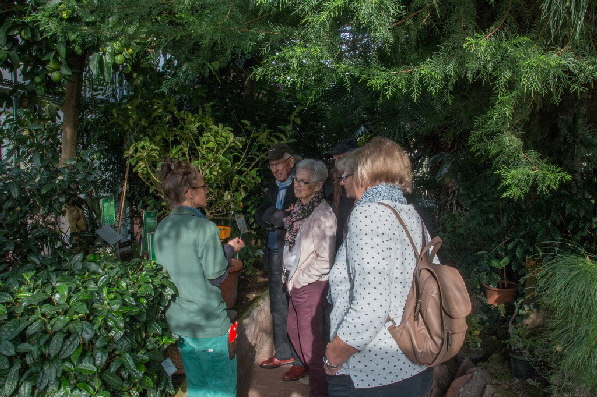 Die Fr�chte zum Anfassen