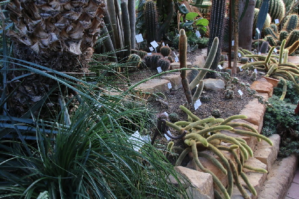 Unz�hlige Artenvielfalt