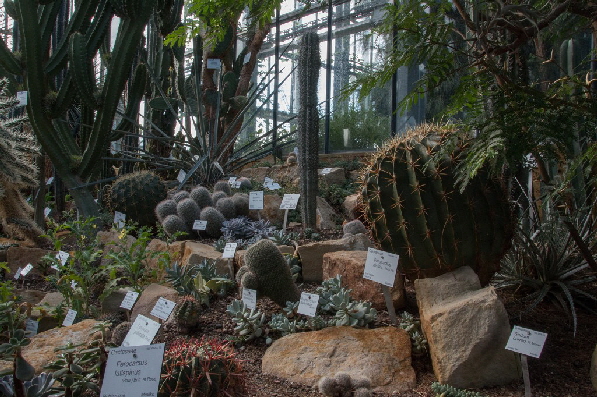 Die Bilder sprechen f�r sich