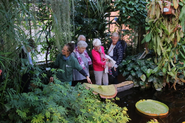 Auf der Unterseite mit Stacheln best�ckt gegen Fischfra�