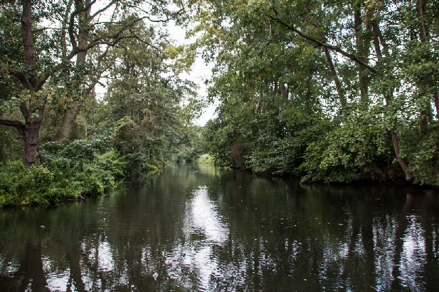 Stille Wasser gr�nden tief