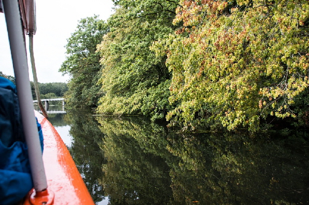 Spiegelungen im stillen Wasser