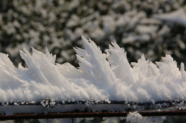 Detailaufnahme wie vor