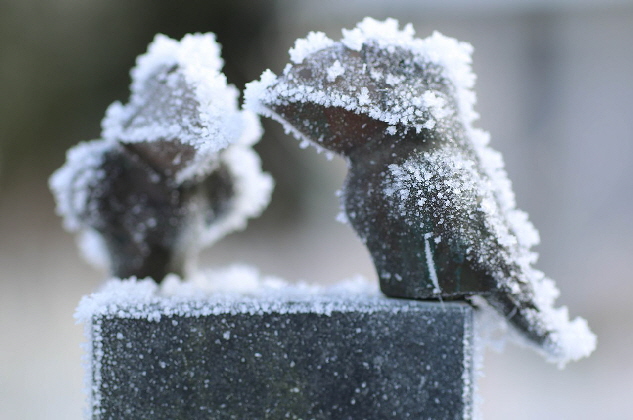 Unsere zwei Bronze-Raben in "Froststarre"