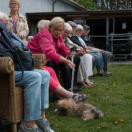 Auch der kleine Hofhund