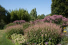 Staudenpflanzen in üppiger Pracht