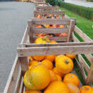 ... sehr gut bestückten Hofladen.