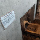 Ein Baumsarg mit Asche.